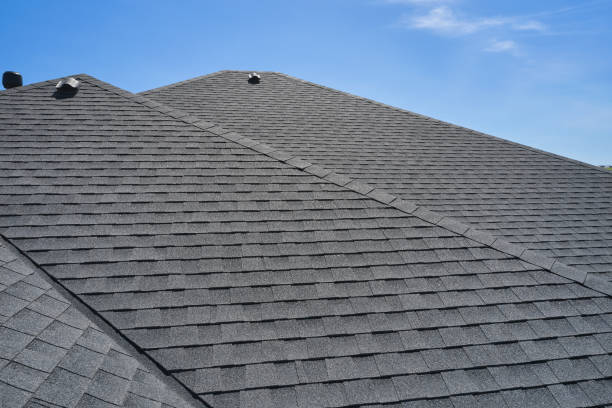Best Green or Eco-Friendly Roofing Solutions  in Coats, NC