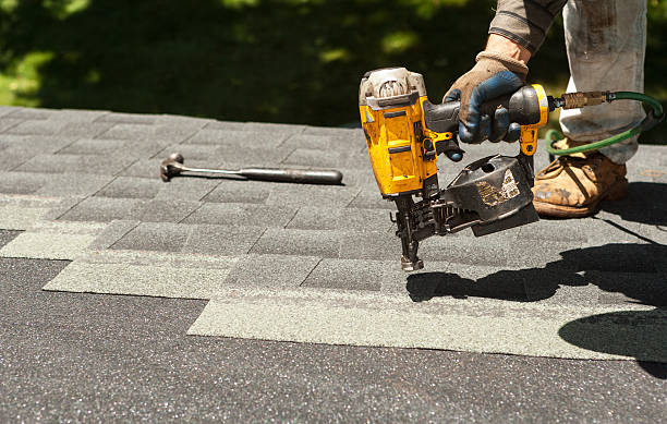 Best Roof Moss and Algae Removal  in Coats, NC
