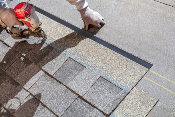 Best Solar Panel Roofing Installation  in Coats, NC